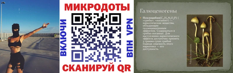 Галлюциногенные грибы мухоморы  omg зеркало  Сокол 