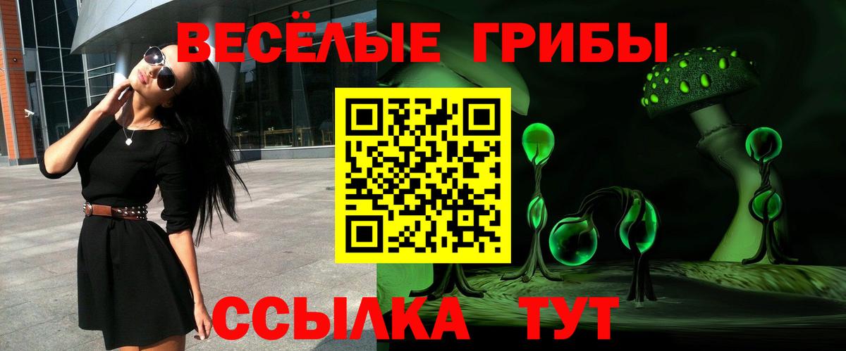 Галлюциногенные грибы Psilocybe Сокол