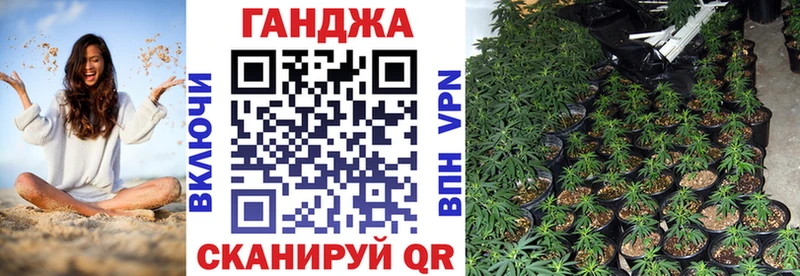 Шишки марихуана THC 21%  Сокол 